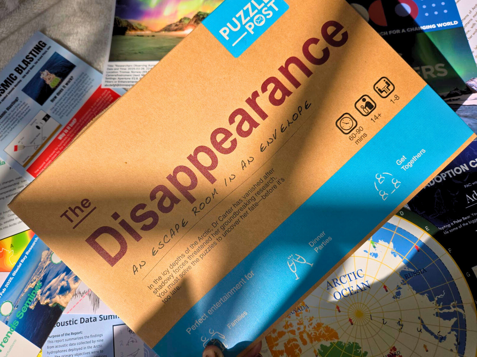 The Disappearance Puzzle Post Review