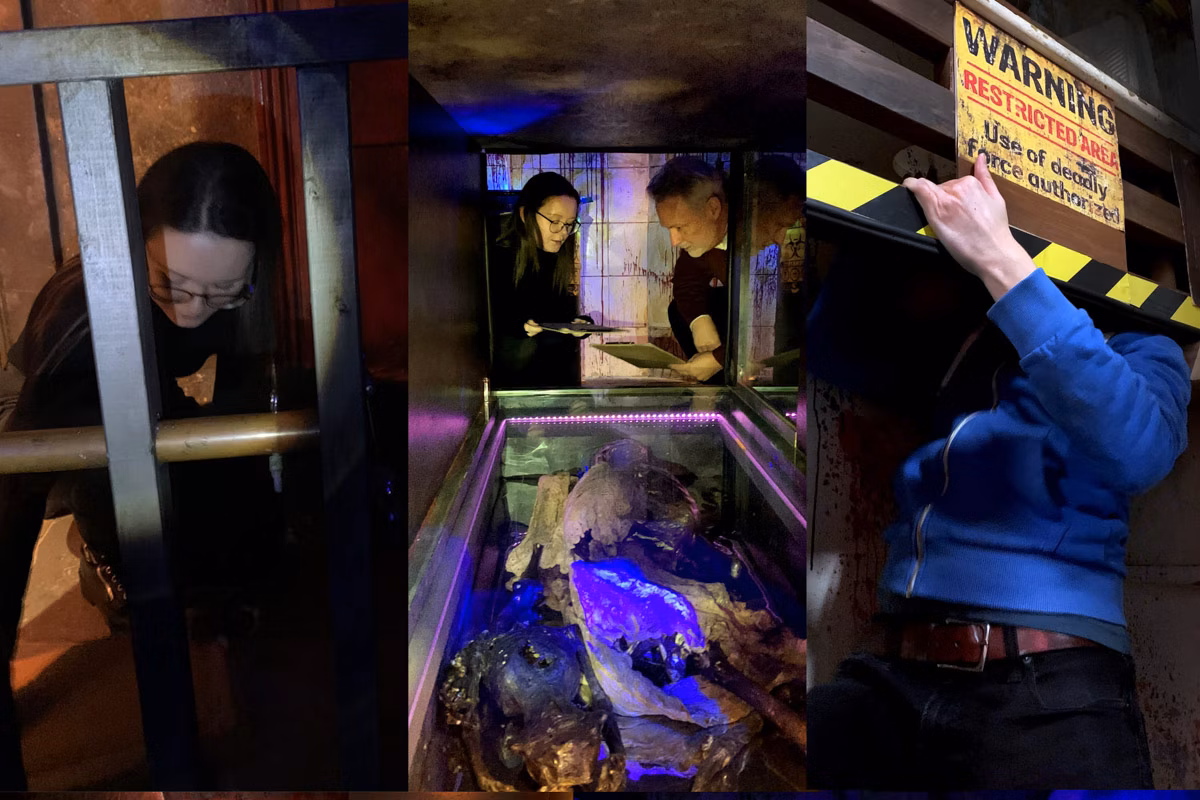 House Of Frankenstein The Shallows Review